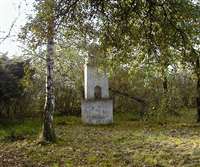 image-7500