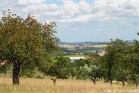 image-7625