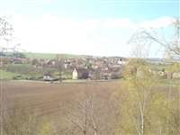 image-7654