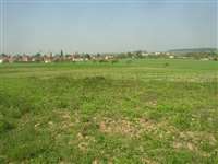 image-7670