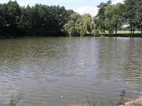 image-7676