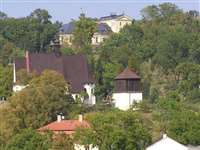 image-7786
