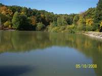 image-7787