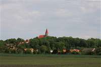 image-7824