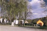 image-7850