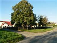image-7890