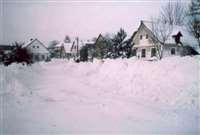 image-7976