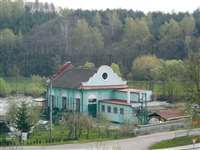 image-7981