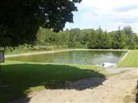 image-8006