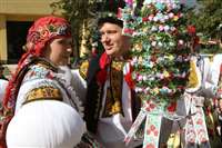 image-800