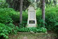 image-8021