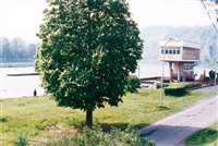 image-8106