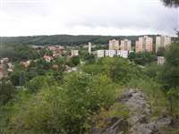 image-8110