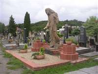 image-8112