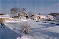 image-8310