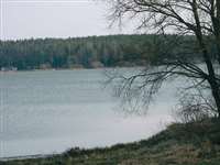 image-8375